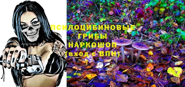 прущий лед Магас