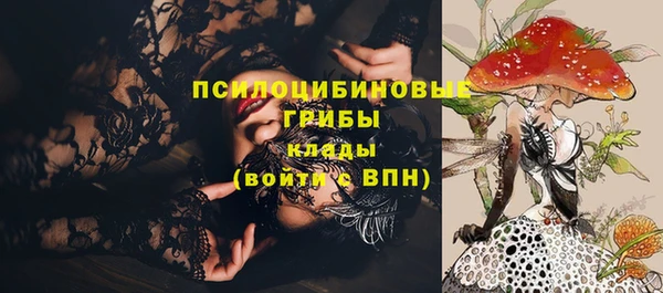 прущий лед Магас