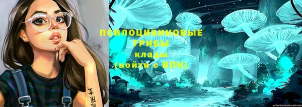 прущий лед Магас