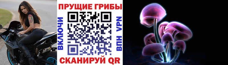 цены   Магадан  Галлюциногенные грибы Cubensis 