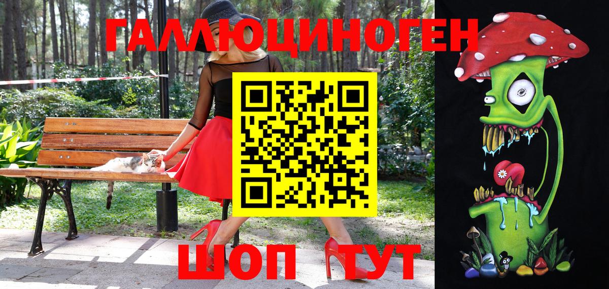 Псилоцибиновые грибы Psilocybe Магадан